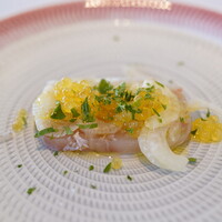 アル・ケッチァーノ  - イワナとヒラメのテリーヌ