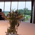 レストラン ビオス - 内側の席より窓外の風景を望む。