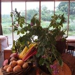 レストラン ビオス - お店の中央には、庭で収穫された野菜が沢山！