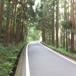 レストラン ビオス - 帰りは健康のため、西富士宮駅まで歩きました。