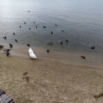 シャーレ水ヶ浜 - 