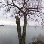 シャーレ水ヶ浜 - 