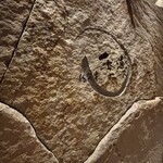 佐賀牛 季楽 銀座  - 