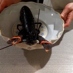 Yd'or - オマールブルトン