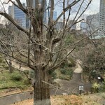 日比谷松本楼 - 