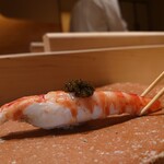 鮨 江藤 - 熊本県天草車海老/キャビア