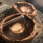 ホルモン・焼肉　8 hachi  - 