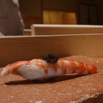 鮨 江藤 - 熊本県天草車海老/キャビア