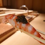 鮨 江藤 - 熊本県天草車海老/キャビア