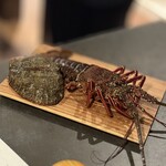 LAINE INAMURAGASAKI - 