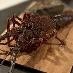 LAINE INAMURAGASAKI - 