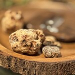 LAINE INAMURAGASAKI - ビアンケットトリュフ