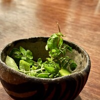 マルタ - 