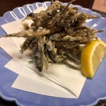 想作居酒屋 一ふじ - 