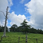 彩華ラーメン - 