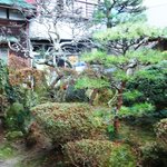 いろは食堂 - 行列しているとき見える庭