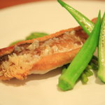 イル・クッチョロ - 