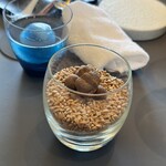 プレゼンテ スギ - 