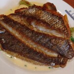 レストラン・サカキ - 鯛のポワレ、大きい