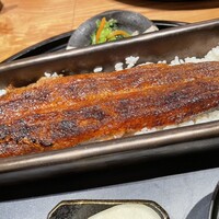 うなぎ四代目菊川 ミッドランドスクエア 名古屋本店 - 蒲焼一本重アップ