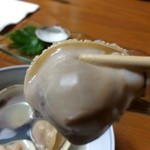 日の出 - 産卵前の真ん丸蛤