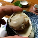 日の出 - ぷっくりとまるまるしています