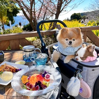 ティファニーミュージアム別館&カフェ_0