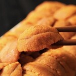 朱鯱 - 