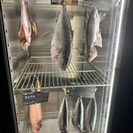 トラットリア ダイ パエサーニ - 