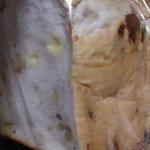 KuKKA - チーズ・ナッツ入りイギリスパン