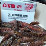 天米 - 