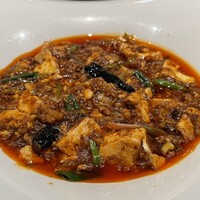 神田 雲林 - 麻婆豆腐　アップ