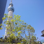 そらのいろ麹町本舗 - ぶっちゃけ高過ぎて、あんまり高さの実感湧かないというｗ高さを実感するには、下からスカイツリーを見上げる方が感動しそう