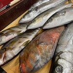 魚魚丸 あさの - 