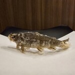 てんぷらこざき - 