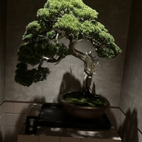 一鳥目 とり松 - 