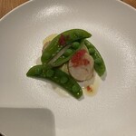 saint M - ホタテのソテー　そら豆とフィンガーライム