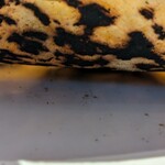 武蔵野カンプス - 