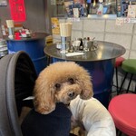 ダパイダン105 - テラス席の様子