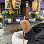 そば処 湧水 - お墓もちゃんとお参り