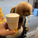 ダパイダン105 - 生ビール　３３０円（税込）