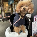 そば処 湧水 - おやつを催促してる？