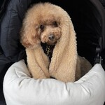 そば処 湧水 - 寒さ対策はばっちり♪