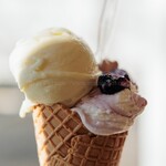 ARIETTA del gelato