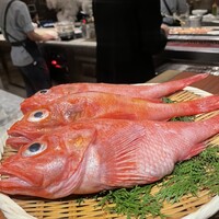 スガラボヴィー - 