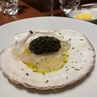 スガラボヴィー - 