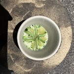 アニエルドール - 