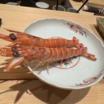 神田錦町 鮨たか晴 - 