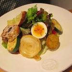 テーラ・テール - Vegeplate　Lunch