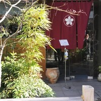 高麗橋桜花 - 